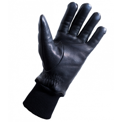 Gloves - Pro Thermal